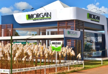 APRESENTAÇÃO TRIUNFFO EVENTOS INTERNOS ( (1280 x 720 px) (1)