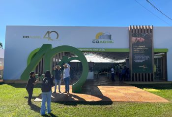 Imagem do WhatsApp de 2025-05-20 à(s) 16.16.38_899d49c9